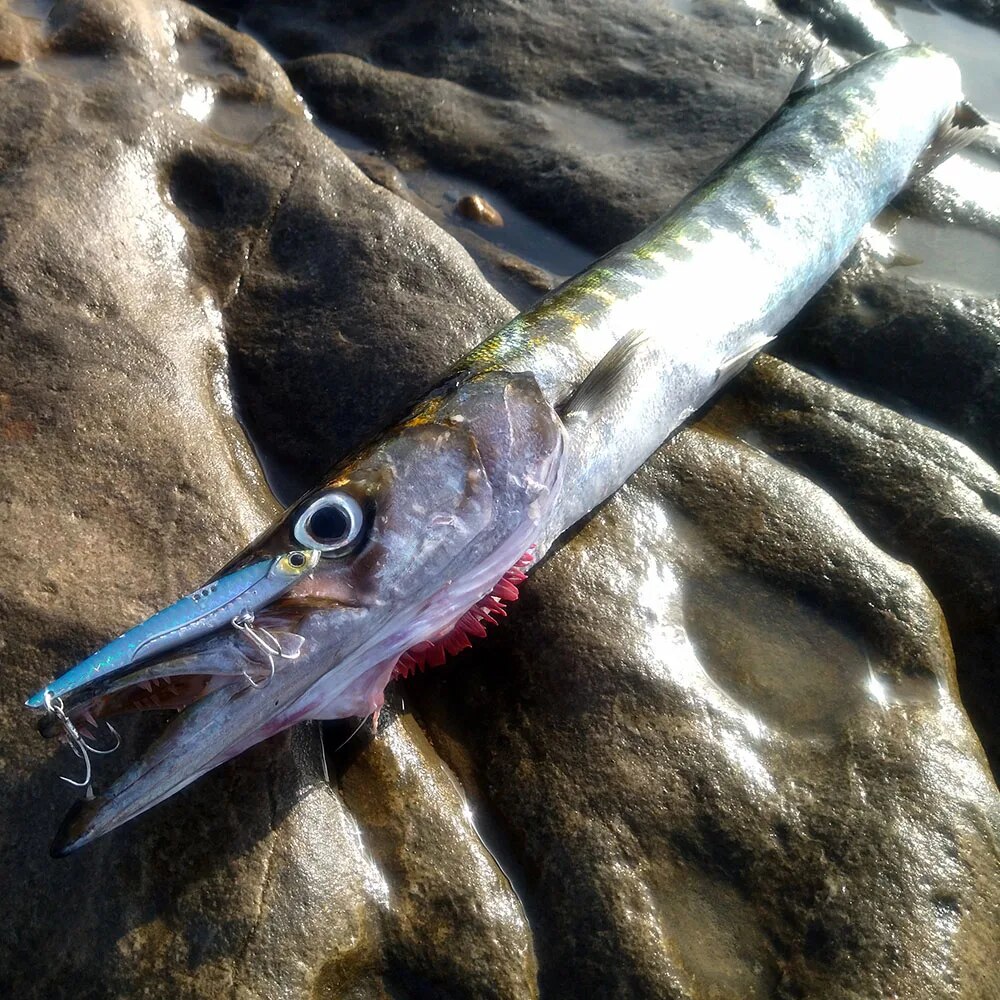 ゴベイトフィッシングルアー,金属ジグ,シンキングブレード,ト - Fishing Lure Blade Bait のレビューと価格